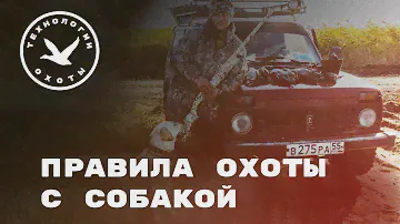 Правила охоты с собакой