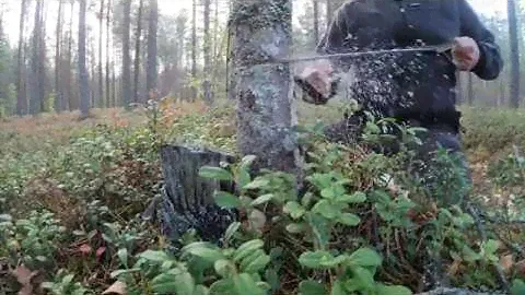 Шведская карманная цепная пила NPS (Nordic Pocket Saw) в действии (тест  MyBiggame)