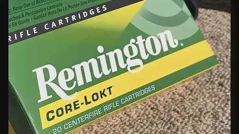 .300 Winchester Magnum, 180gr PSP, Remington (R300W2) Velocity Test